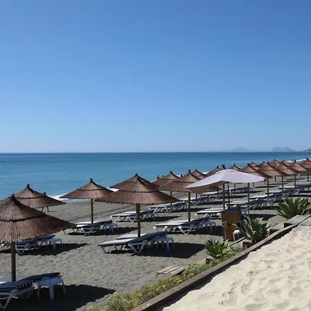 Theedgebythesea Bluemarlin *